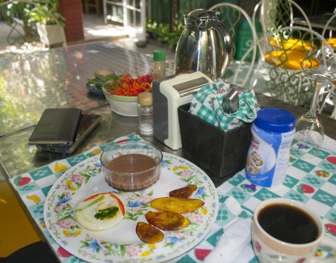 Hotel Oasis Сан-Сальвадор Экстерьер фото